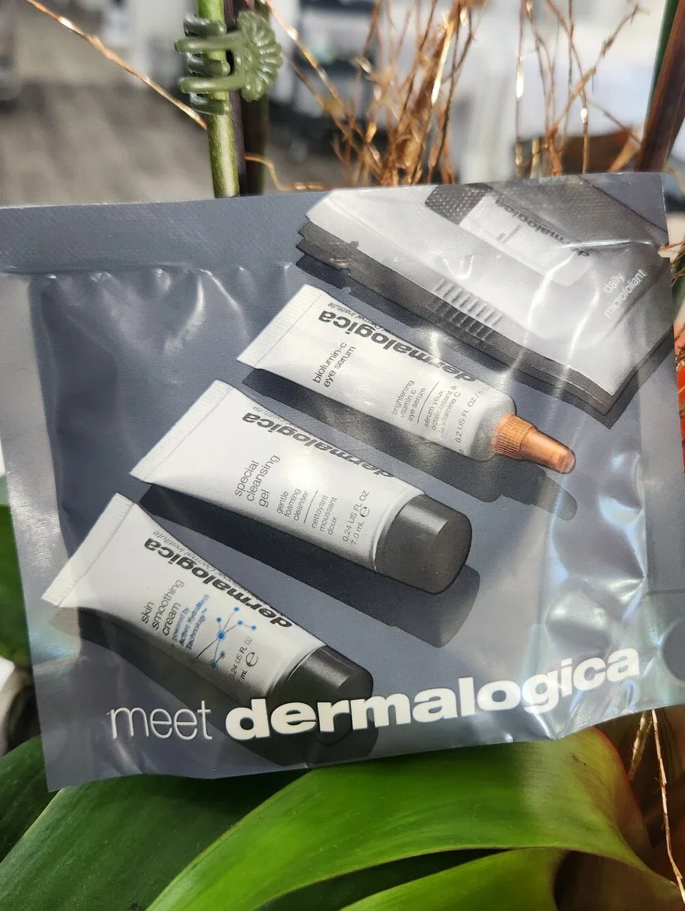 dermalogica gray skincare sampler pouch with white and black tubes